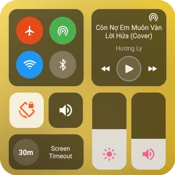 Control Center, Easy Control icon